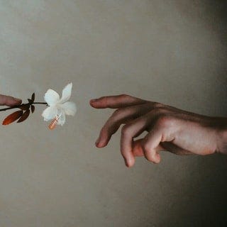 Unsplash Photo
