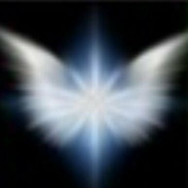 Observing Consciousness Substack