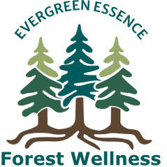 Evergreen Essence Forest