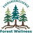 Evergreen Essence Forest