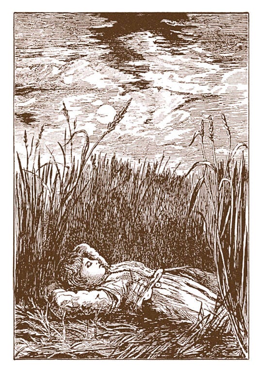 An Illustration of a Child Asleep in a Wheat Field (Corn if UK)