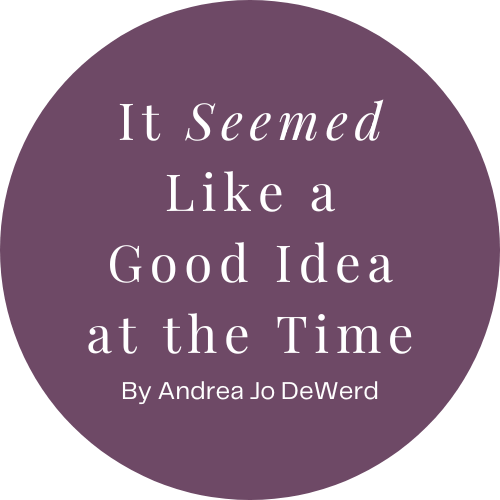 It Seemed Like a Good Idea at the Time by Andrea Jo DeWerd