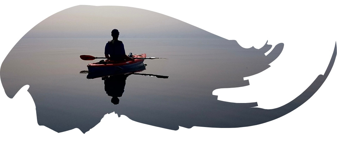 When You Are Just Being Still, You Are Still Choosing