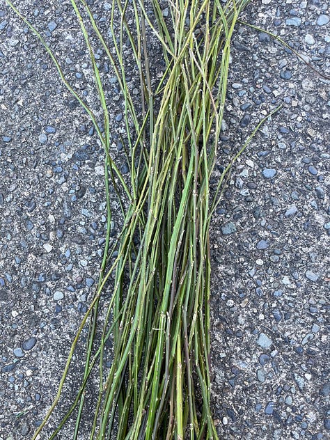 Mother Earth provided the materials to weave a cover for the coffin.