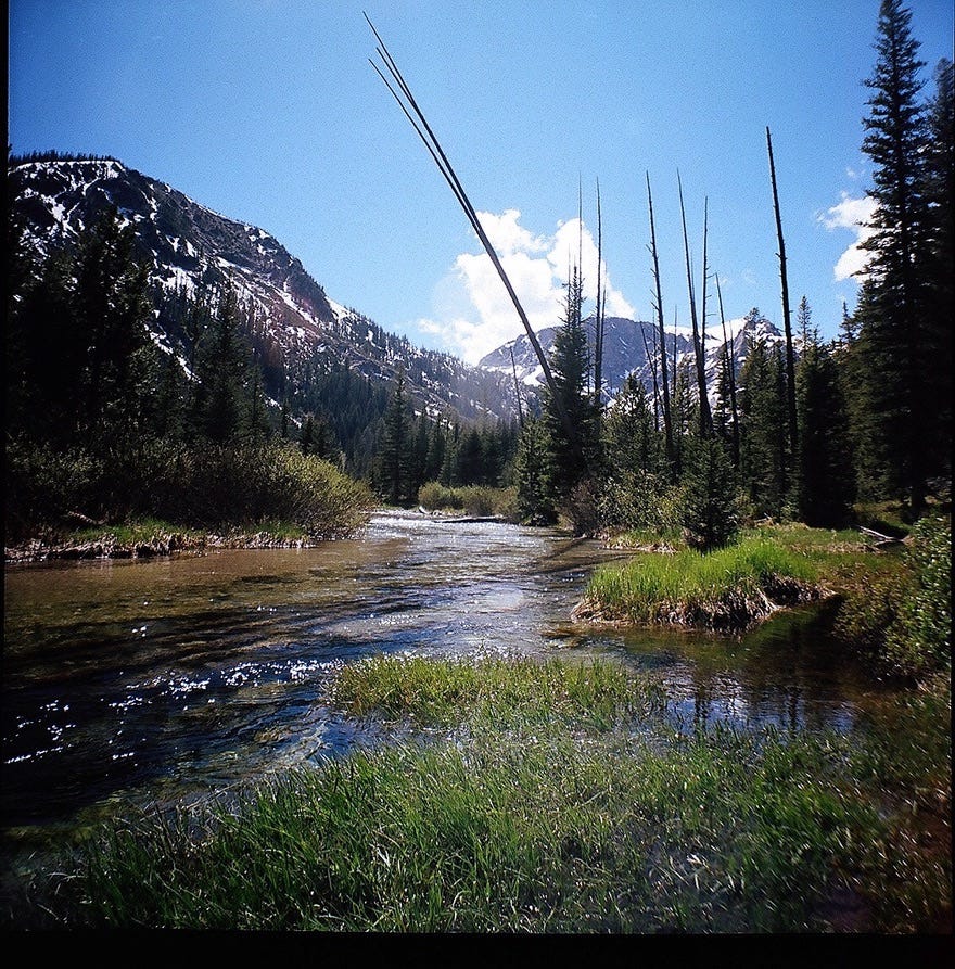 an image of massive, snow-dappled mountains taken from the side of a meadow stream, which you can see in the foreground.