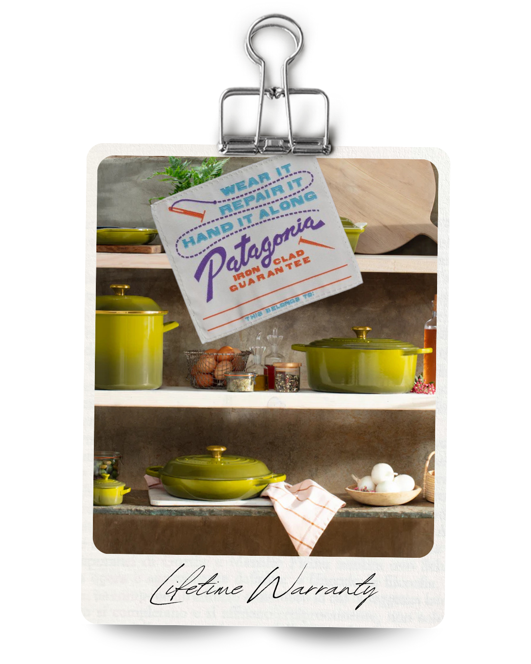 Texas frostweed by the roadside, symbol of resilient beauty in chaotic design