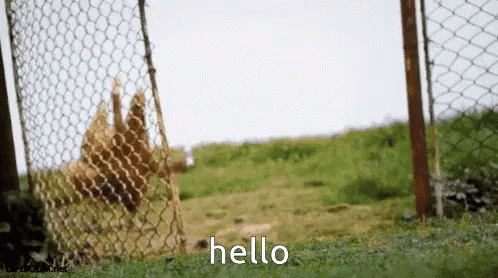Hello Funny GIF - Hello Funny Wave GIFs