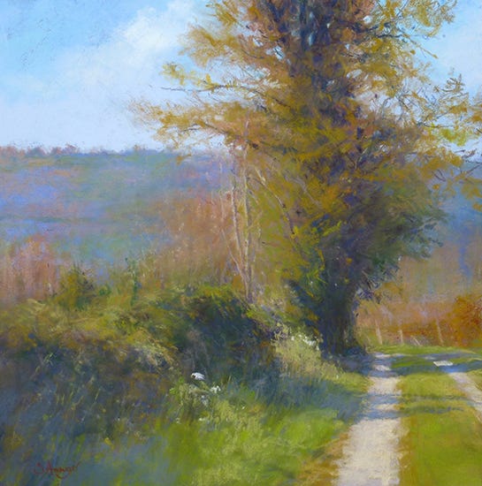 Le Vieil Arbre Chez Marcel, 50 x 50 cm, Pastel, © Sophie Amauger Le Vieil Arbre Chez Marcel, 50 x 50 cm, Pastel © Sophie Amauger