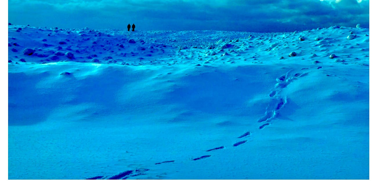 “Elegy for an Ice Breaker” by Scott Holleran
