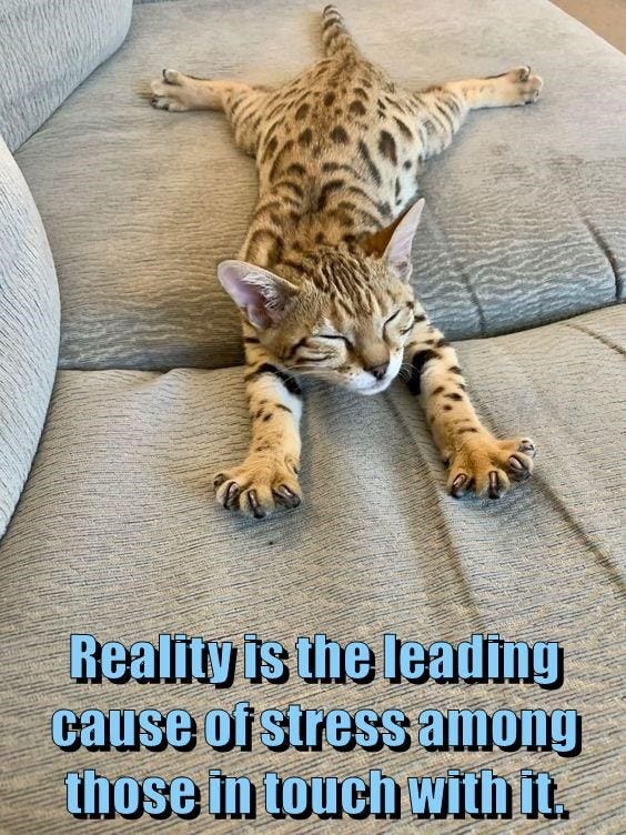 Reality check meme : Second Language Strategies Reality check meme : Second Language Strategies