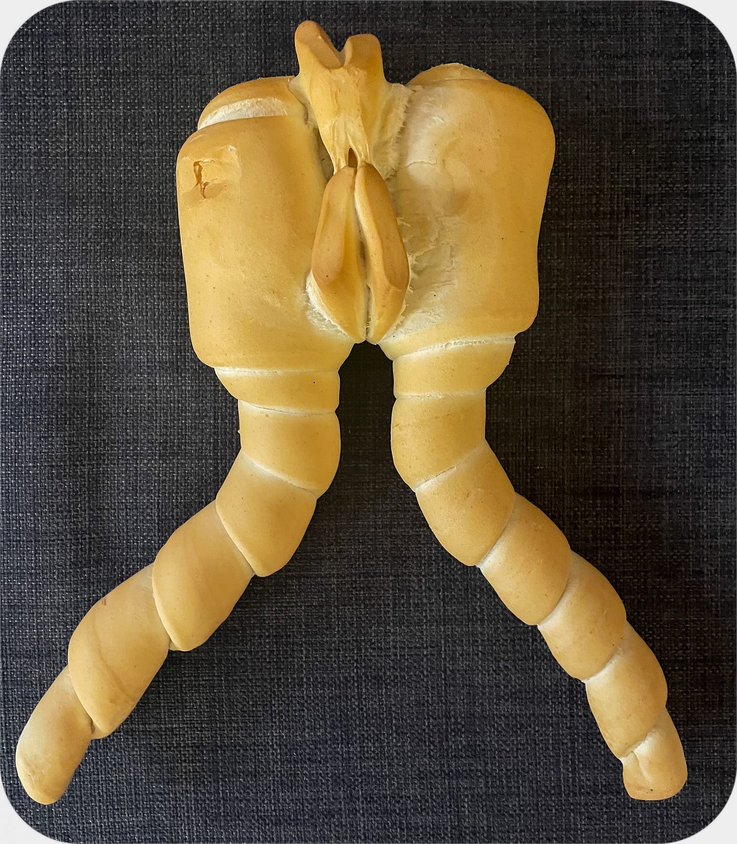 Half-eaten coppia ferrarese.