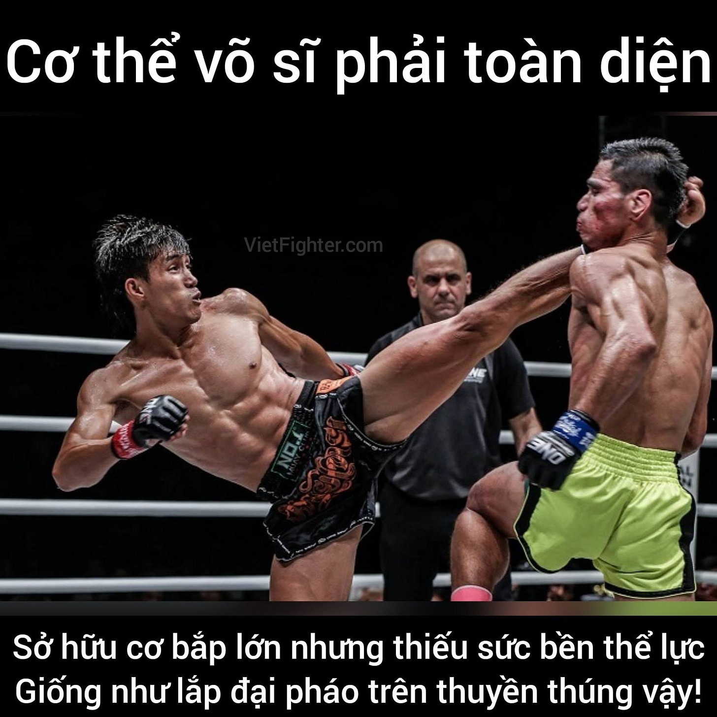Không có mô tả ảnh.