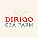 Dirigo Sea Farm -stand
