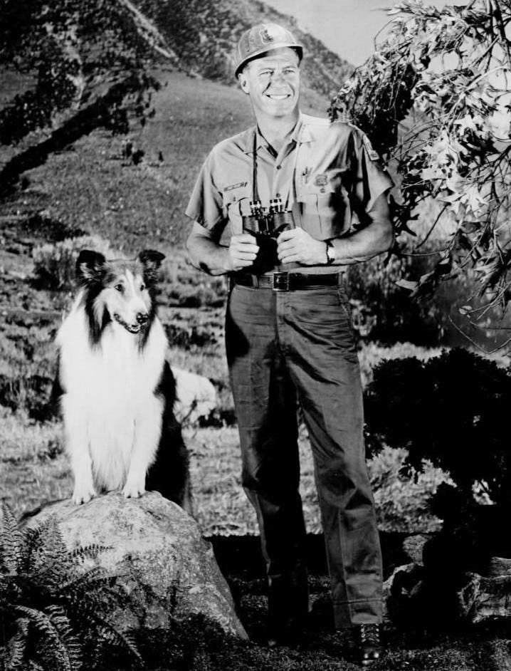 After 10 seasons on the farm with the Millers and the Martins, the series shifted to Lassie's adventures with the U.S. Forest Service during seasons 11–16, the bulk of that time featuring Robert Bray as Ranger Corey Stuart.