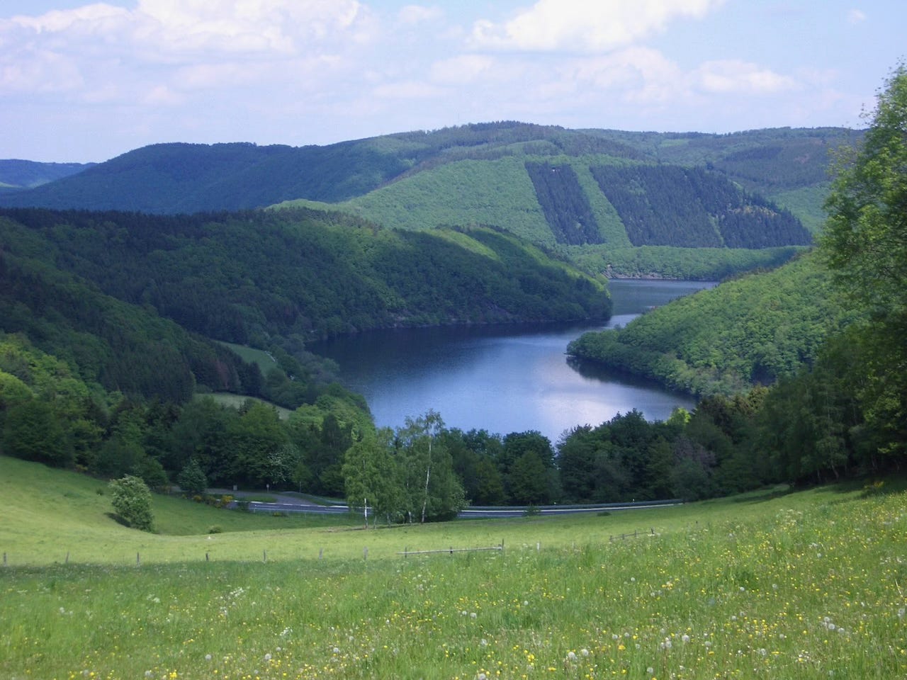 A broad view over the rolling hills of the Eifel region in Germany, showing a calm, winding lake nestled between densely forested green slopes. In the foreground, a sunlit meadow dotted with wildflowers slopes gently downward toward a tree-lined road. The distant hills are layered in soft blue-green tones under a bright, partly cloudy sky.