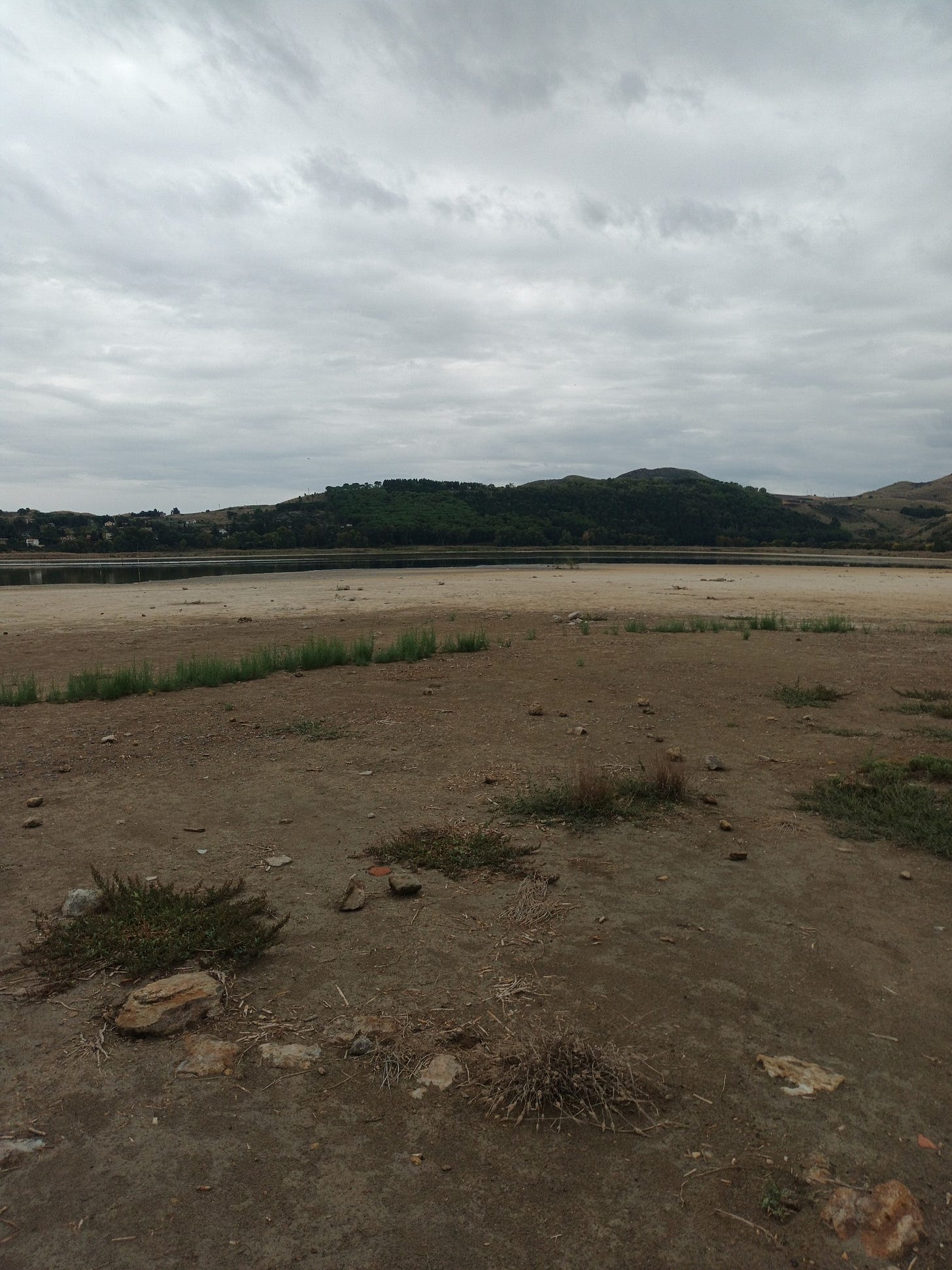 May be an image of horizon and grass