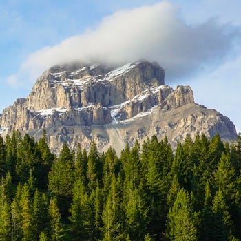 Truth and Courage Substack