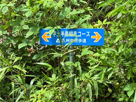 A rural Japanese train station, a signpost among leaves, orange orchards and cypress trees