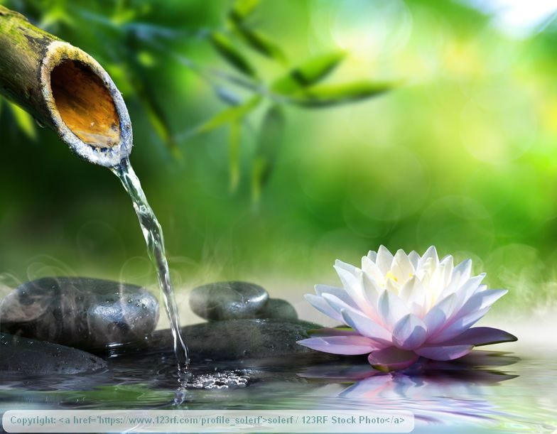 zen garden with massage stones and waterlily