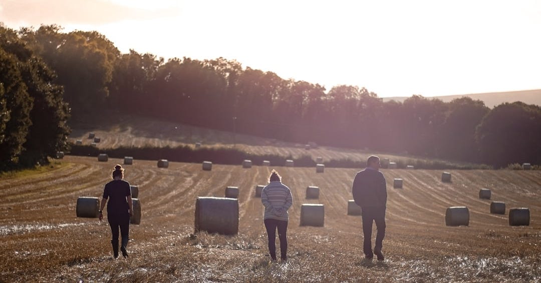 a group of people standing in a field with luggage a group of people standing in a field with luggage