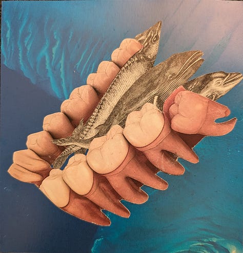 Three collages - first one is a found Renoir sketch of a kneeling woman on a peach background with white, gray, and pearly orange circles surrounding her; the secone is a yellowed book page with multiple pink and red and white papers creating a landscape with clouds, and the third isa blue underwater background photo and a diagram of human teeth with three black and white fish swimming out of the mouth.