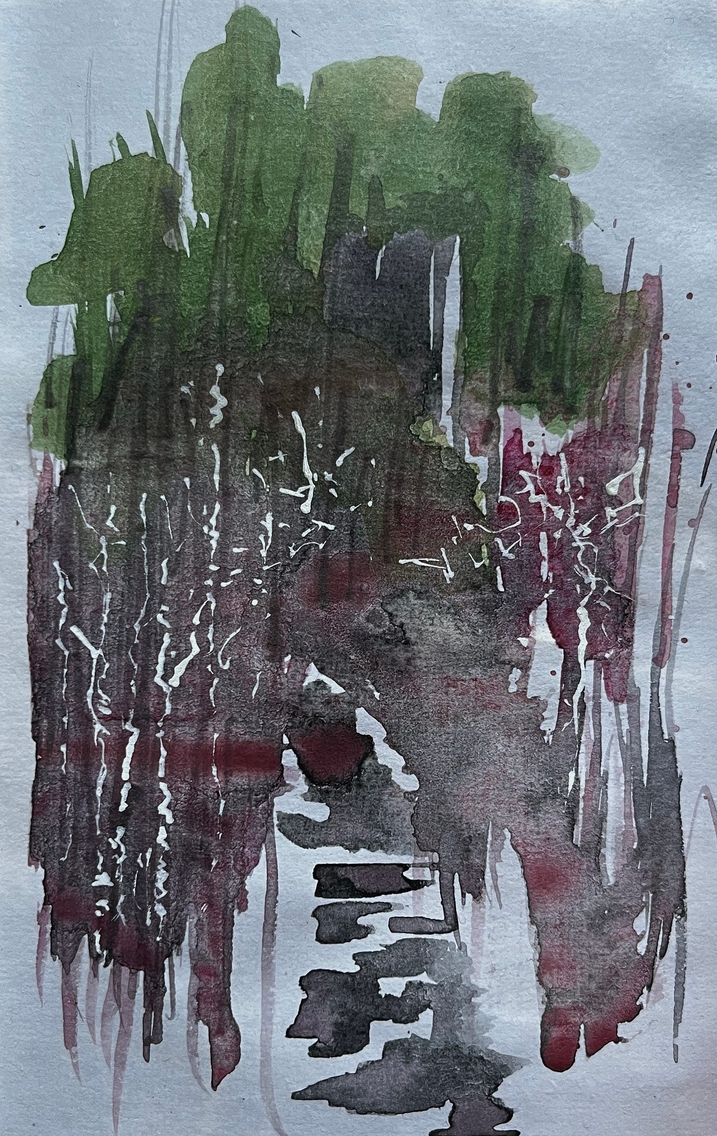 Ink and wash sketch of sdark green pine and burgundy red birch, emphasizing dark branches and blue shadows. Ink and wash sketch of sdark green pine and burgundy red birch, emphasizing dark branches and blue shadows.