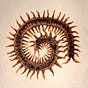 Millipede's avatar