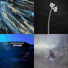 blank mood picks for 2024