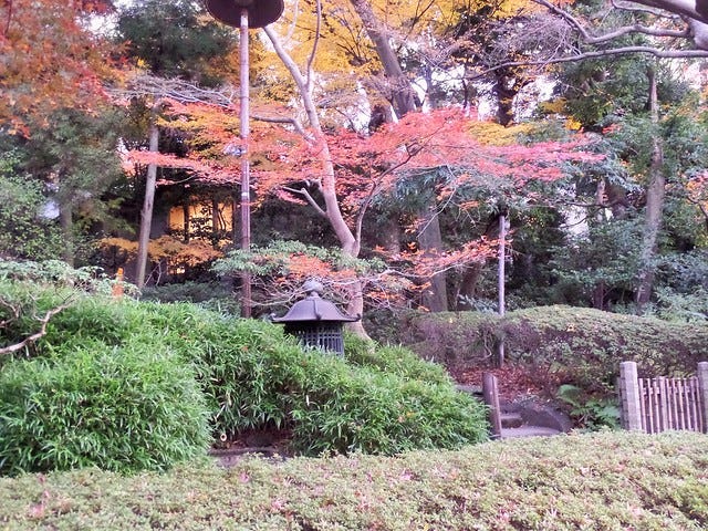 Foliage at Happo-en Foliage at Happo-en