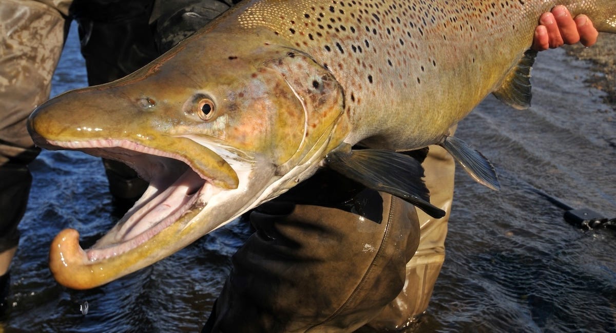 Fishing the Rio Grande