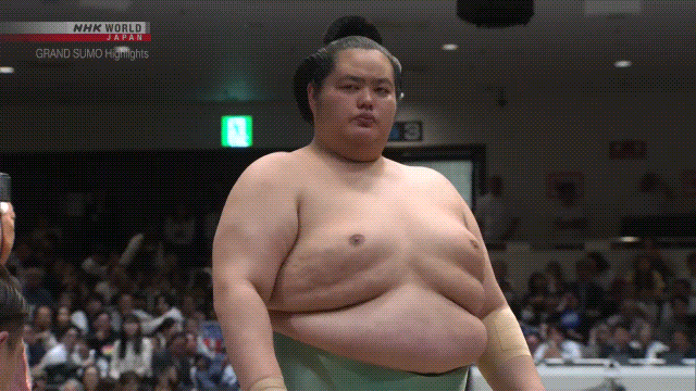 Sumo Stomp! | Tim Edwards | Substack