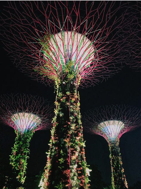 left to right: Merlion, Supertree Grove, Marina Bay Sands