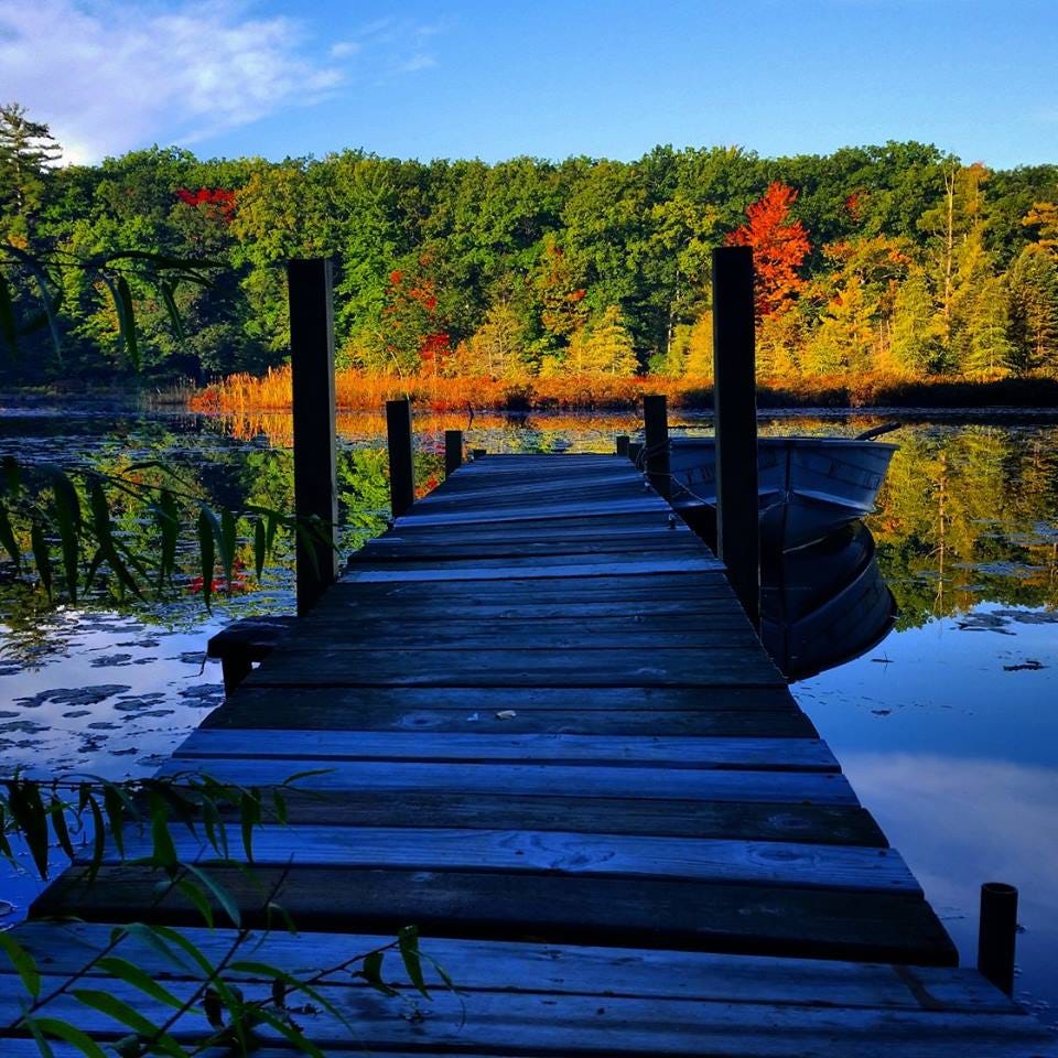 Michigan photos - taking nature pics is my best therapy Michigan photos - taking nature pics is my best therapy