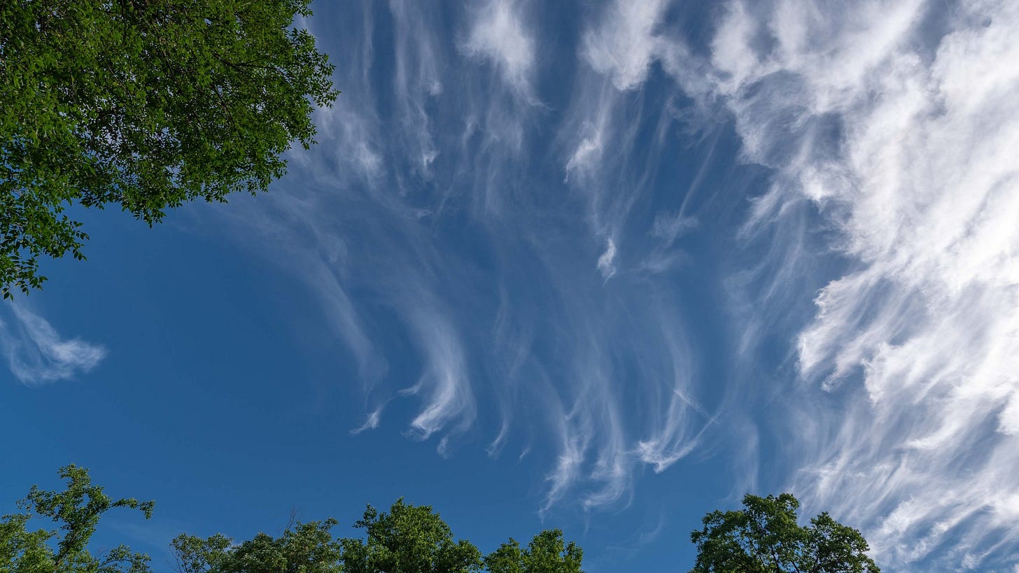 Cirrus Clouds: High, Wispy Streaks | WhatsThisCloud