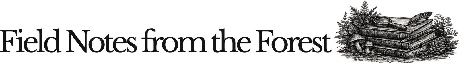 Field Notes from the Forest