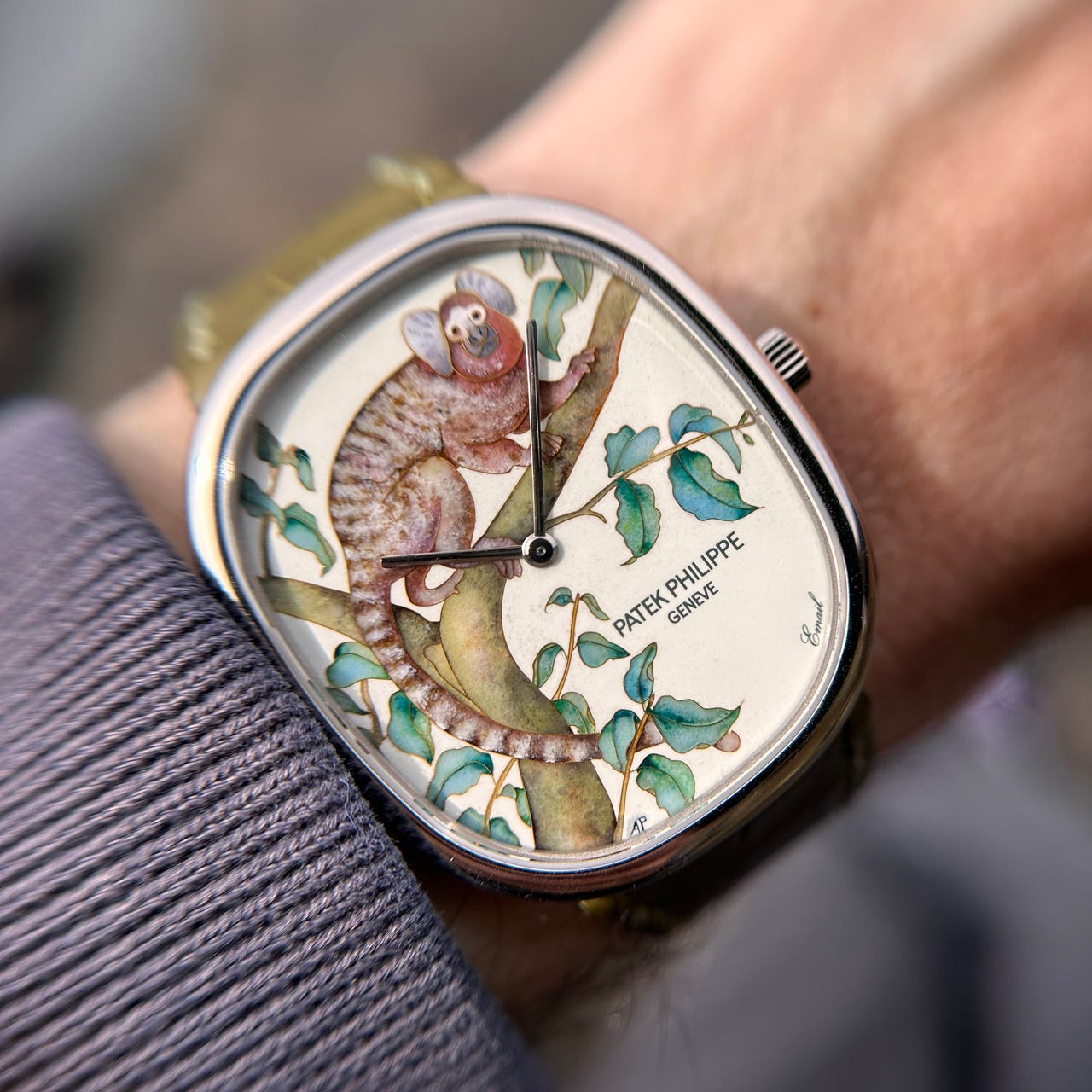 The Grumpy Watch Collector