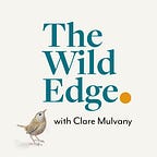The Wild Edge - with Clare Mulvany