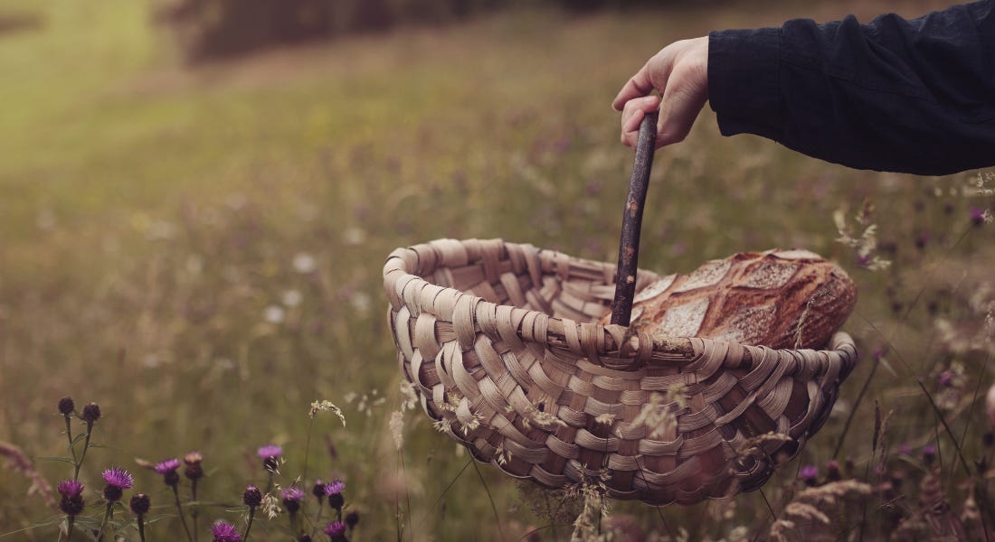 A hand with a black sleeve holding a woven basket with bread in it, in a green field with purple flowers
