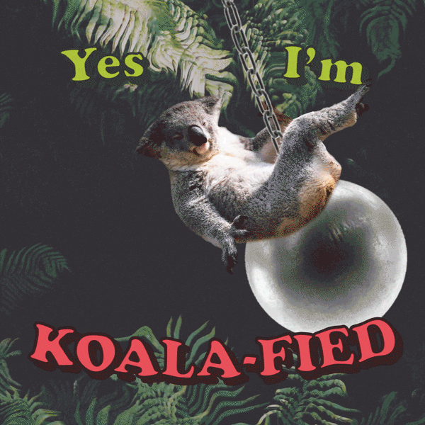 jake.gif miley cyrus swing mess koala GIF