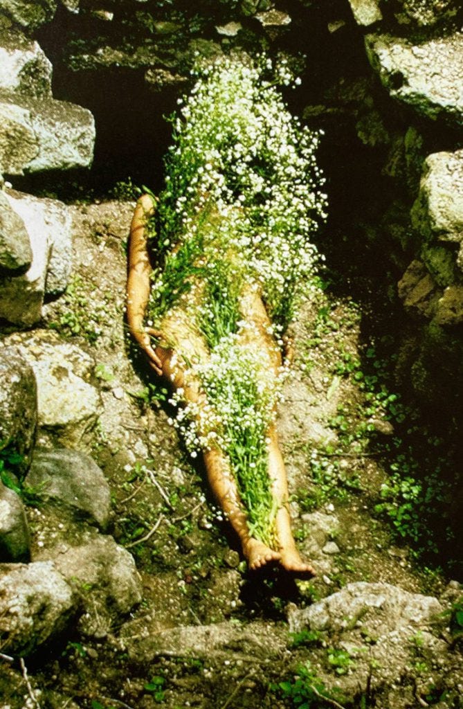 Flowers on Body (Silueta series) by Ana Mendieta - LadyKflo