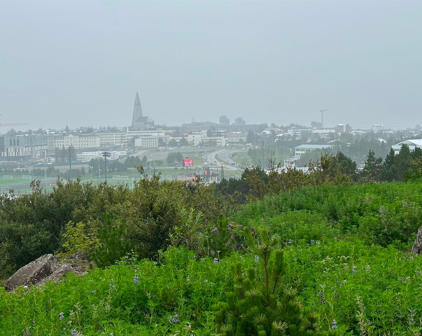 City view of Reykjavik from the trail 