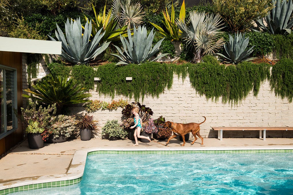 Lisa Gimmy's Designs for Livable California Gardens - Photo Essay ...