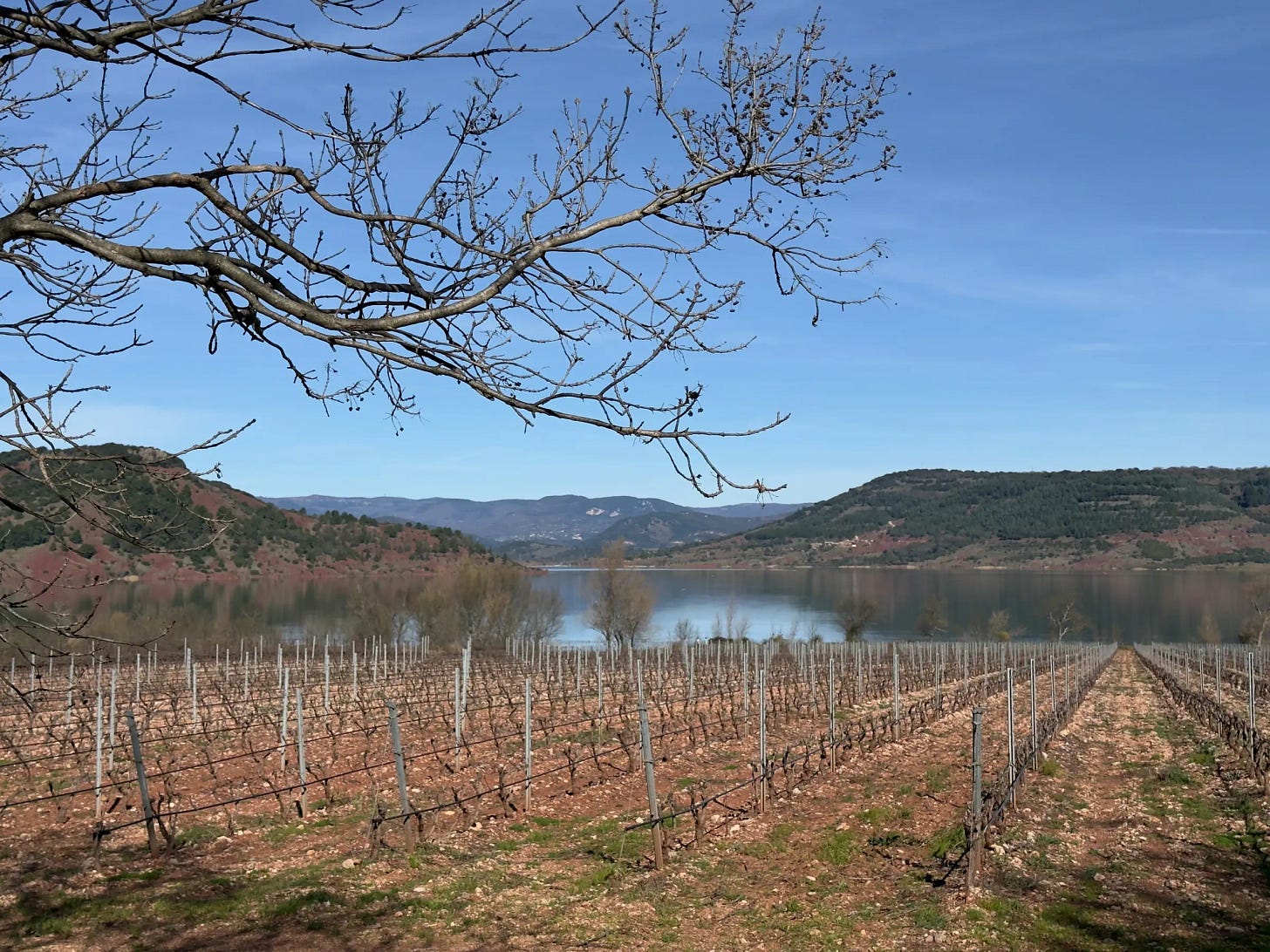 Reco du 24 février