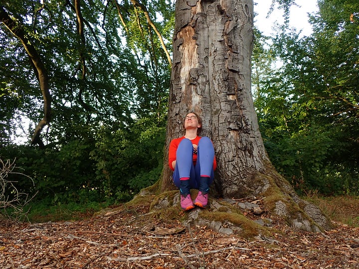 Trees, forest, nature