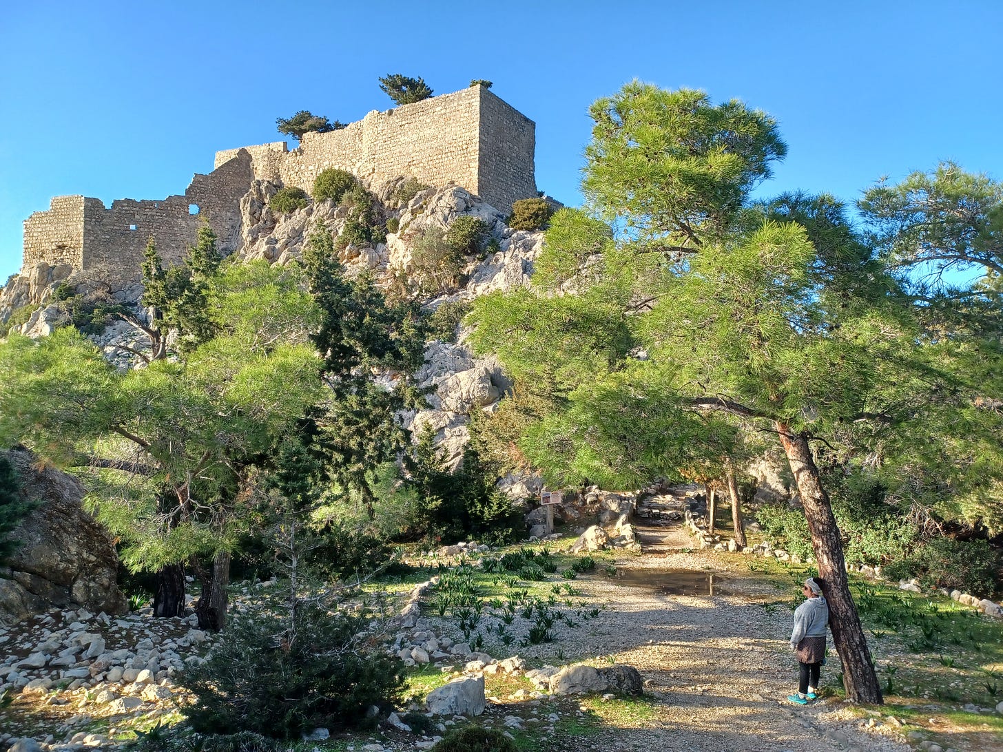 a castle in ruins at the top of a hill, trees and foliage below. A woman at the bottom right looking off into the distance. 