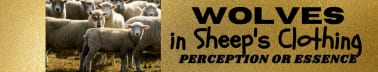 Wolves in Sheep's Clothing/CCT Investigation