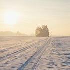 Beautifully Dead - Chapter 20