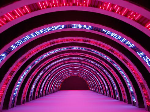 Speak Softly and Carry a Big LED: The Provocative Art of Jenny Holzer