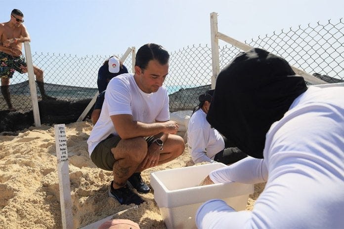 behind a wire mesh fence, volunteers carefully pack sea turtle eggs in sand inside styrofoam coolers