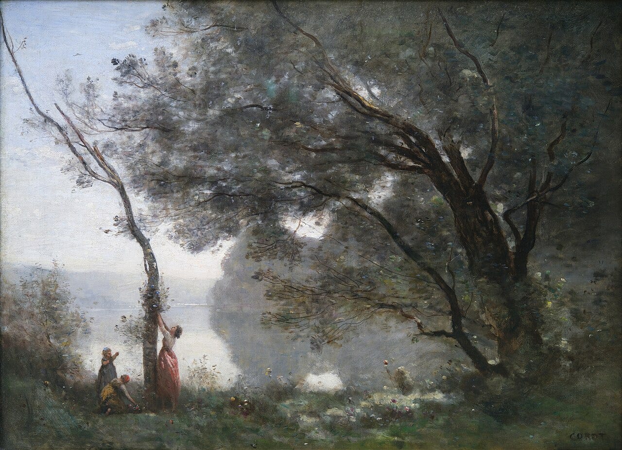 A hazy lakeside with silvery trees at a misty hour A hazy lakeside with silvery trees at a misty hour